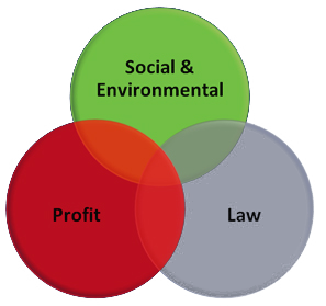 shared-value